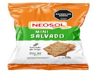 GALLETAS NEOSOL 250G SALVADO