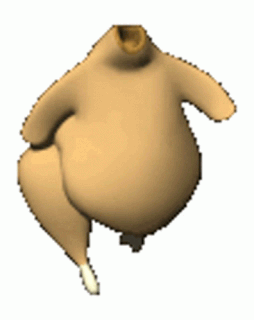 PATA MUSLO FRESCA DOS KG 